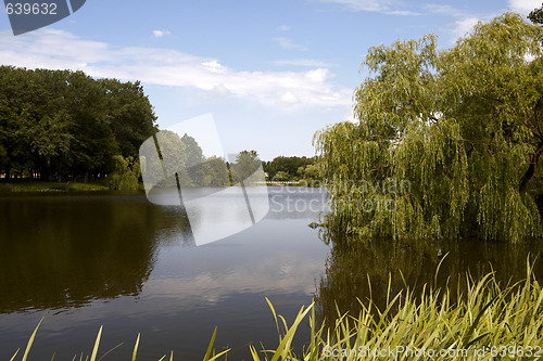 Image of Lake