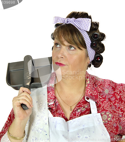 Image of Dust Pan Housewife