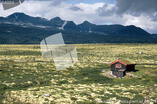 Image of Rondane Nasjonal Park