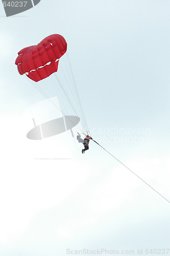 Image of Parachutes