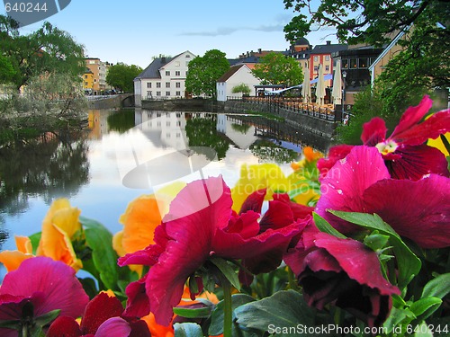 Image of Flowers and lake in Uppsala