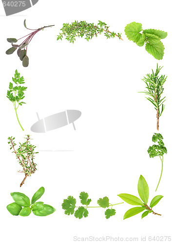 Image of Fresh Aromatic Herbs