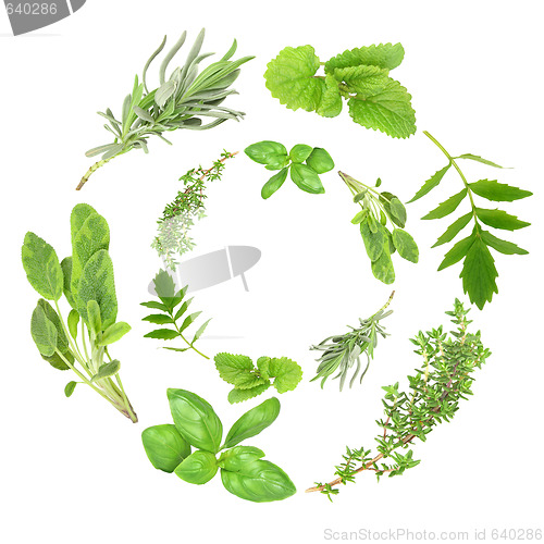 Image of Herb Garlands