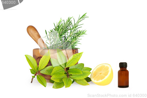 Image of Herbs and Lemon Ingredients