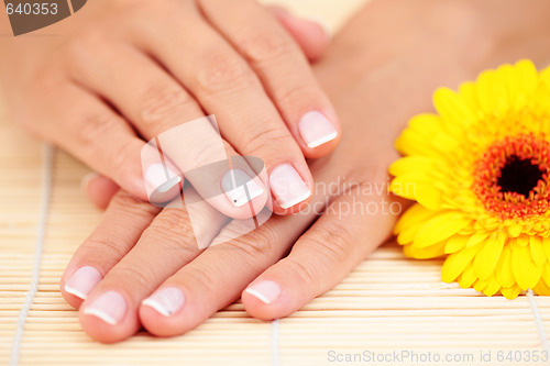 Image of beautiful female hands