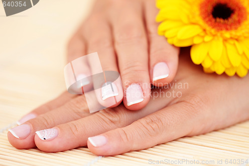 Image of beautiful female hands