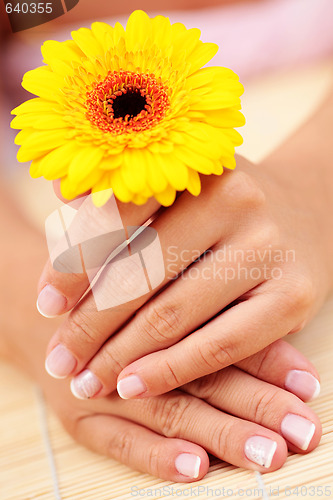 Image of beautiful female hands