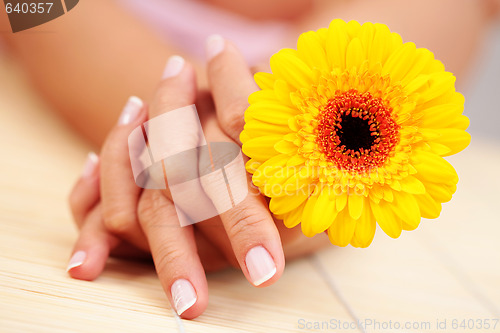 Image of beautiful female hands