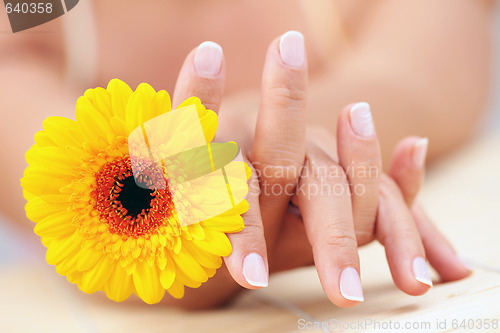 Image of beautiful female hands