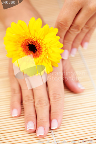 Image of beautiful female hands