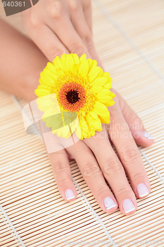 Image of beautiful female hands