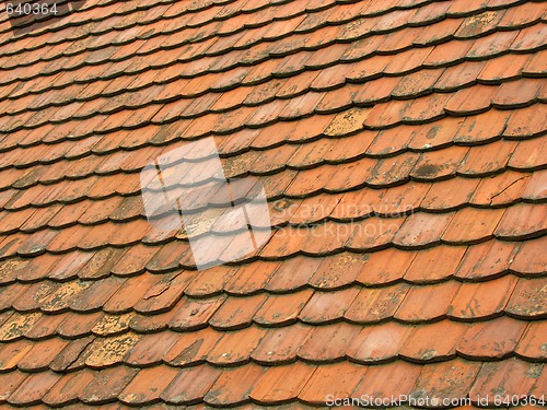 Image of Old roof tiles 1