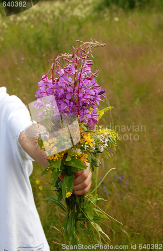 Image of Summer flowers bouquet