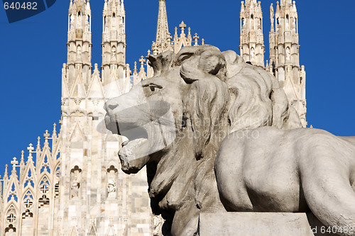 Image of Stone lion in Piazza Duomo, Milan