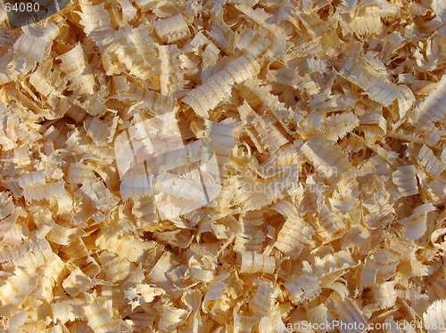 Image of Shavings