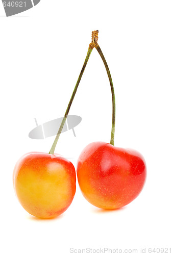Image of Rainier cherries