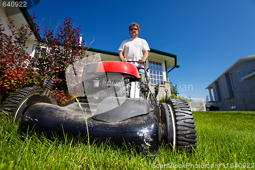 Image of Mowing the lawn