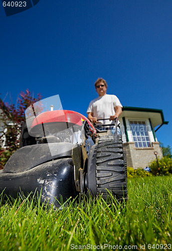 Image of Front lawn mow