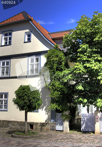 Image of baroque house and chestnut tree