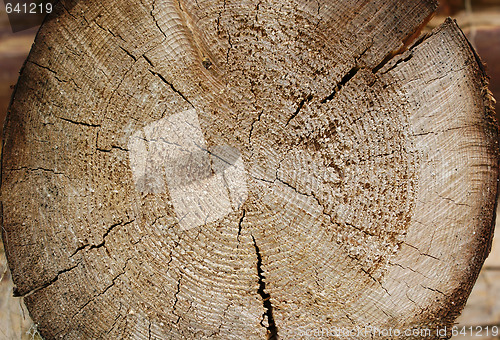 Image of Log