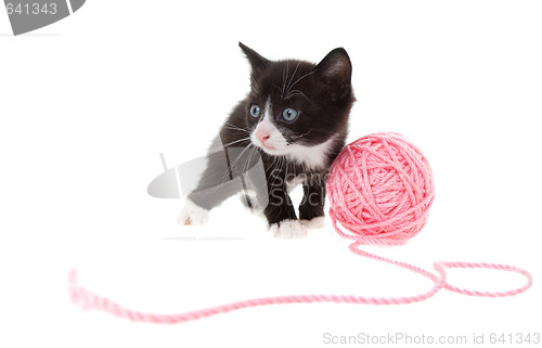 Image of Kitten with string