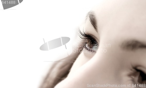 Image of Gyrls Eye - perspective focus. Macro; Focus on pupil. Isolated o