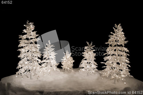 Image of Christmas Trees, isolated