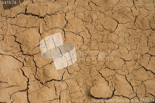 Image of dry texture