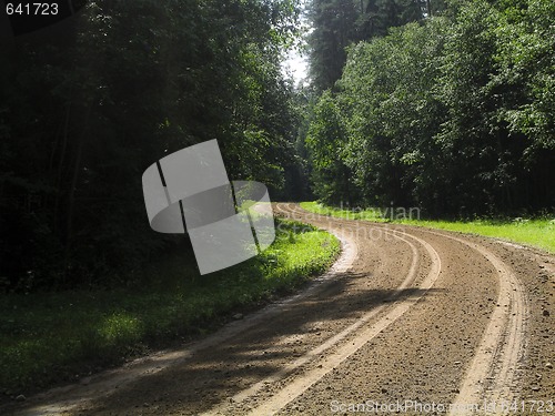 Image of A road in the forest