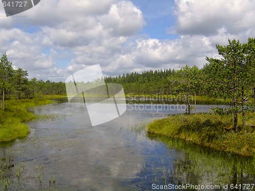 Image of Lake scenery