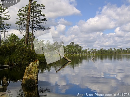 Image of Lake scenery