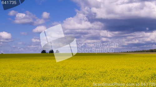 Image of Wide open countryside