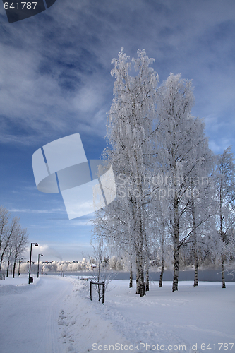 Image of Cold day