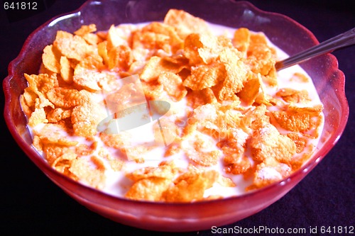 Image of Bowl of flakes cereal with milk in bowl