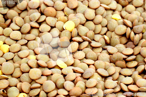 Image of Lentils