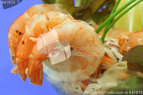 Image of Seafood