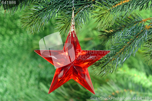 Image of Christmas tree decoration