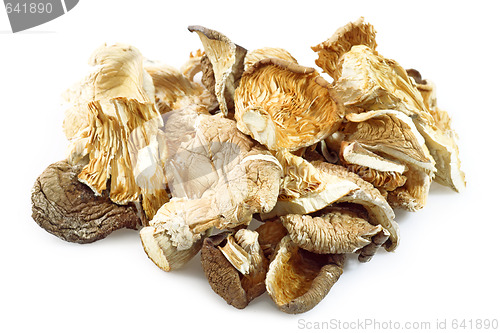 Image of Asia mushrooms
