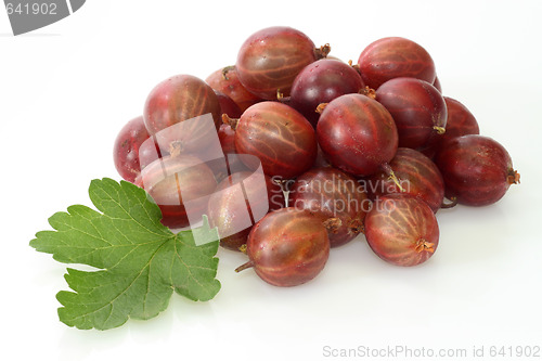 Image of Gooseberry