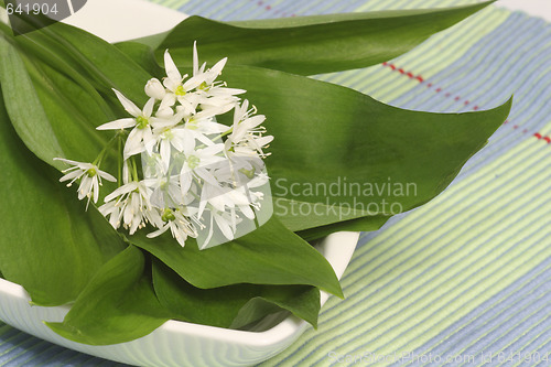 Image of Wild garlic