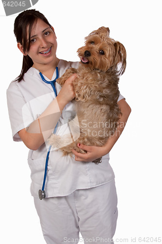 Image of Animal Health Care Worker