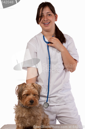 Image of Vet Student