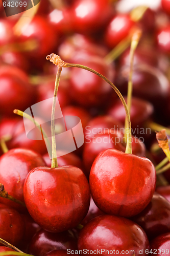 Image of Sweet cherry