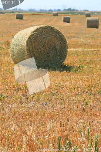 Image of Hay Rolls