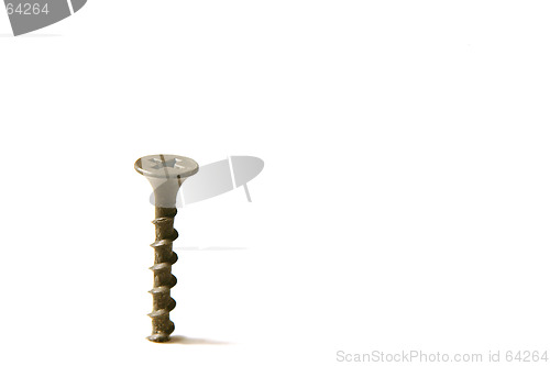 Image of The Screw