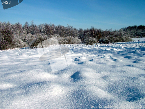 Image of Snowrift