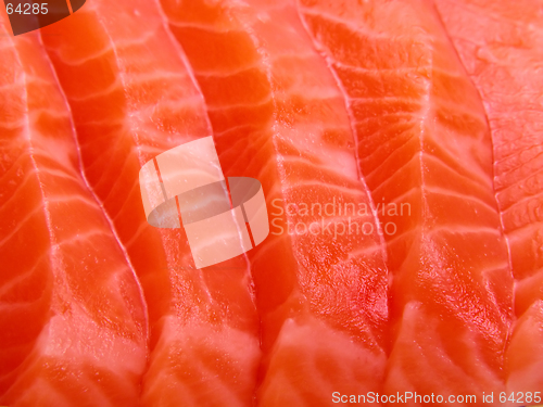 Image of Salmon meat close-up