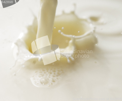 Image of milk