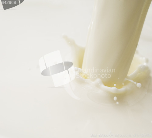 Image of milk