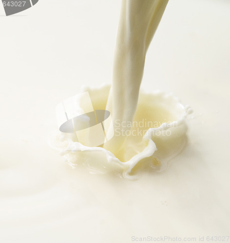 Image of milk